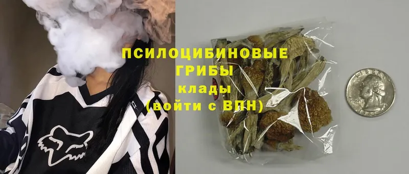 Псилоцибиновые грибы GOLDEN TEACHER  Заволжск 